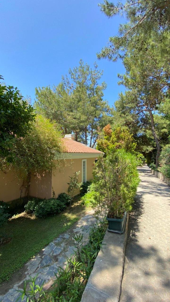 Pine Club Apart Hotel Kuşadası Exterior photo